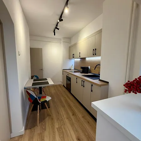 Premium Loft Craiova