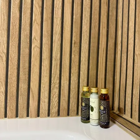 Apartment Premium Loft Craiova