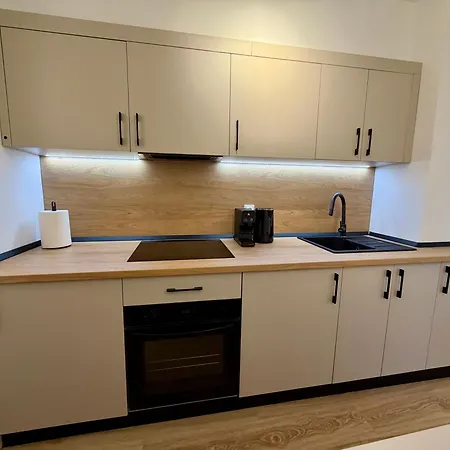 Apartment Premium Loft Craiova